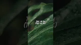 Thumbnail: a-ha - Take on Me (2016 Remaster) (lyrics)