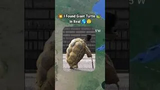 Thumbnail: I Found Giant Turtle 🐢 In Real On Google Earth Official Maps🌎 Shorts#googleearth #googlemaps#reels