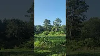 Thumbnail: Happy Independence Day!