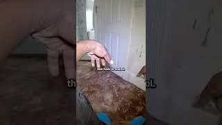 Thumbnail: Explaining underfloor heating to a customer