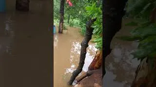 Thumbnail: @Sankeshwar #flood #heavyrain #heavy #rain #rainyday #raining #rainwater