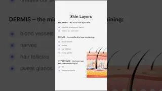 Thumbnail: Skin layers #fyp #biology #shortsfeed
