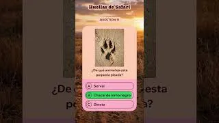 Thumbnail: Huellas De Safari 1