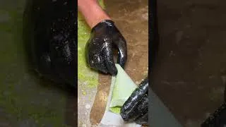 Thumbnail: Evolved Pistachio Desserts