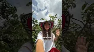 Thumbnail: One of the BEST Things To do in Medellin!