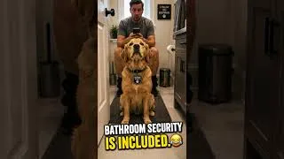 Thumbnail: Everywhere You Go   #DogLovers #DogOwner #FunnyDogs #DogLife #PetParents #DogHumor