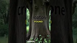 Thumbnail: Why The Roanoke Colony Mystery STILL Puzzles Experts – Unbelievable Theories!