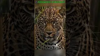 Thumbnail: 🎵 ENIGMA Style Music • New Age 🔥 Meditative Ambient #EnigmaStyle #NewAge #AmbientMusic
