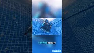 Thumbnail: Ecopool: The Smart Pool That Takes Care of Itself