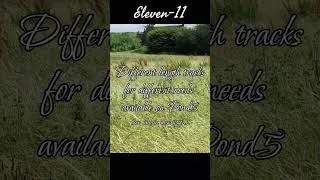 Thumbnail: Eleven 11 (Short Meditation)