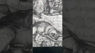 Thumbnail: Dragons, Cats and Books hand drawn in graphite by Ed Beard Jr