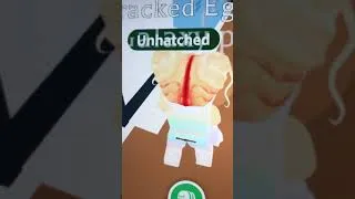 Thumbnail: Go check my tiktok out