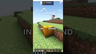 Thumbnail: HOW TO USE THE DODO IN MINECRAFT MARVELOUS MENAGERIE PARADOXICAL