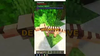 Thumbnail: HOW TO FIND THE THYLACINE IN MINECRAFT MARVELOUS MENAGERIE PARADOXICAL