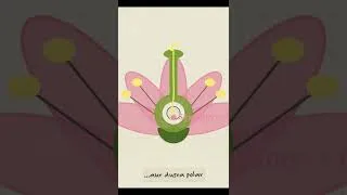 Thumbnail: Sexual Reproduction in Flowering Plants 🌸 | Complete in 60 Seconds ⚡ | NEET & Class 12 Biology