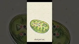 Thumbnail: Respiration in Plants 🔥 | Easy Concept for NEET & Boards