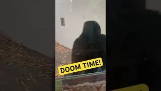 Thumbnail: Let’s play some Doom, boys. #doom #games #shorts