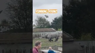 Thumbnail: “A hog deer runs for its life.” #rhino #neushoorn #zoo #wildlife #wildanimals #nature