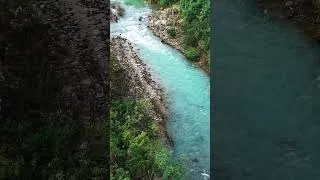 Thumbnail: Gentle Forest Stream & Birdsong for Focus & Calm