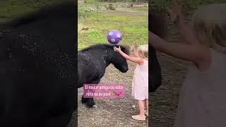 Thumbnail: Cuando le pinta las uñas 🥺😭 #caballos #animales #pony