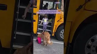 Thumbnail: La ama tanto 🥺😍 #perros #goldenretriever