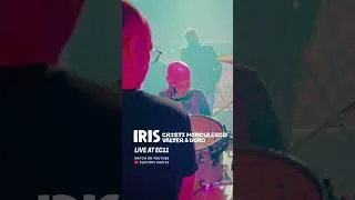 Thumbnail: IRIS: Cristi Minculescu, Valter & Boro, LIVE @ Electric Castle 2025