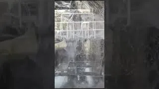 Thumbnail: Zanussi REX IP760N Dishwasher 1993 - Inside view