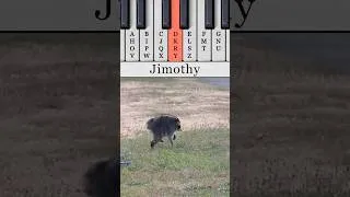 Thumbnail: I gave Jimothy his own theme song! #jimothy  #piano #jingle