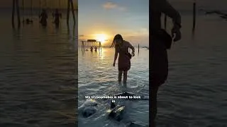 Thumbnail: Swarmed by giant stingrays in Belize! (and unforgettable sunset) #marinelife #sunsetbeach #travel