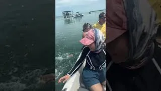 Thumbnail: High Five with Huge Tarpon in Belize! #marinelife #snorkling #caribbean