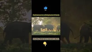Thumbnail: https://youtu.be/NQ28JgfuXEA