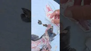 Thumbnail: Ultralight fishing with sand flea as bait. #fishing