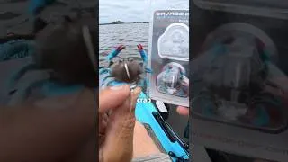 Thumbnail: This did NOT go as planned. Dropped this little crab down and got wrecked. #fishing
