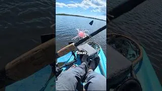 Thumbnail: Fishing this ridiculous bass lure in saltwater. #fishing