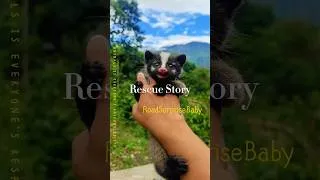 Thumbnail: A man found a strange newborn baby by the roadside and then it turned out…#rescue #animals #fyp