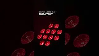 Thumbnail: Eliminator Lighting LP HEX 12 PLUS