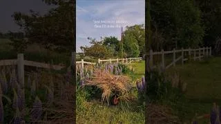 Thumbnail: Two minutes in the garden is never just two minutes.
