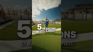 Thumbnail: 5 Reasons You Should Upgrade To Artificial Turf