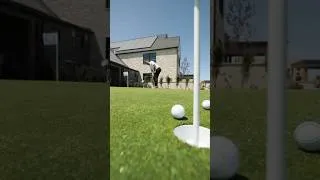 Thumbnail: This yard has everything 😳