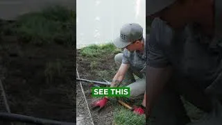 Thumbnail: Correct Depth For Artificial Turf Install // How Deep To Dig