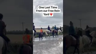 Thumbnail: One Last Time🐴 #fyp #horsegirl #pony #equestrian #youtubeshorts
