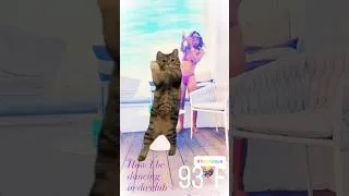 Thumbnail: #Summer #Bikini #PoolParty #Dance