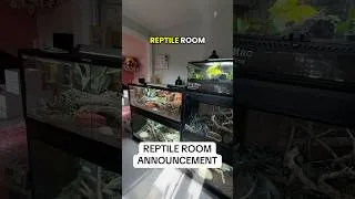 Thumbnail: Building my DREAM Reptile Room…