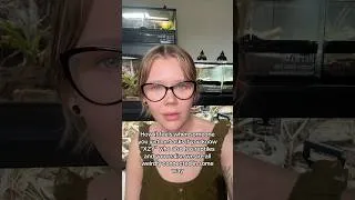 Thumbnail: Us Reptile Keepers are Weirdly Connected…