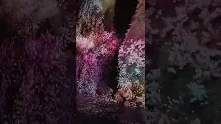 Thumbnail: Mercer Labs Museum, NYC