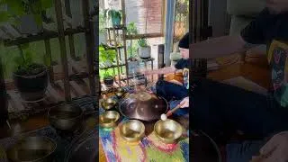 Thumbnail: Daily Vibrational Reset | PlantWave & Singing Bowls