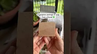 Thumbnail: A care package in the mail! 📦💚 