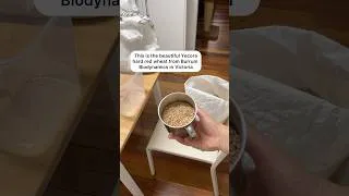Thumbnail: Quiet kitchen moments, refilling my grain tubs 🌾