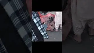 Thumbnail: Sad News (Quetta fire)