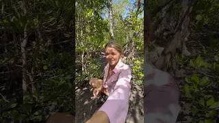 Thumbnail: What would you rather? Pay $80 for a Crab or Risk your fingers? 😂